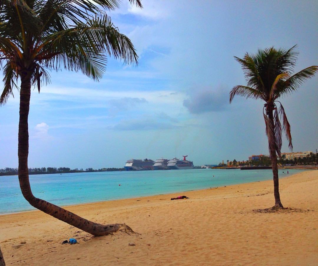 Cruise Lines The Crew Hangout