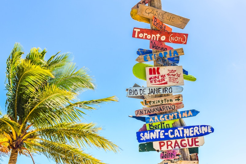 Photo of palm tree with a sign showing country's directions - 10 Reasons Why you Should Work on a Cruise Ship