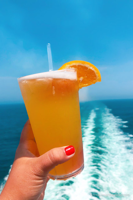 Cruise Ship Bartender Jobs